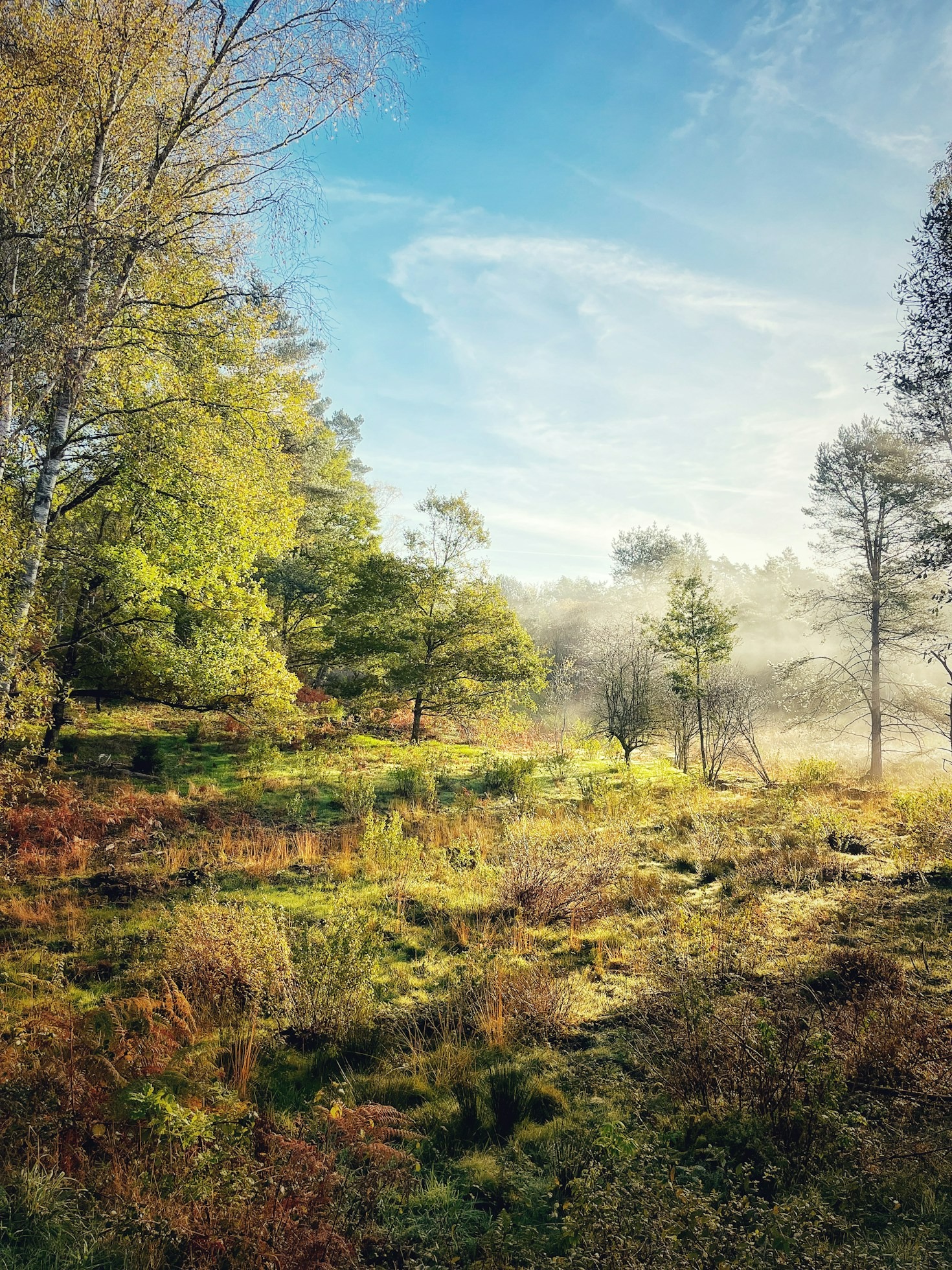 Five Ways You Can Promote Harmony Locally